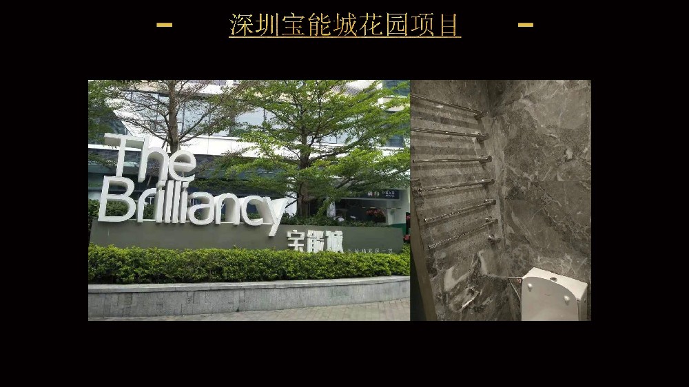 深圳宝能城花园项目
